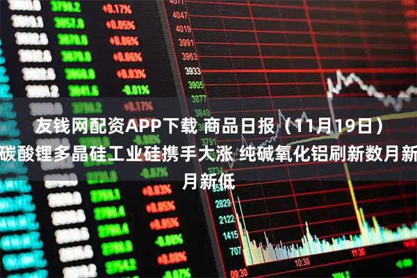 友钱网配资APP下载 商品日报（11月19日）：碳酸锂多晶硅工业硅携手大涨 纯碱氧化铝刷新数月新低