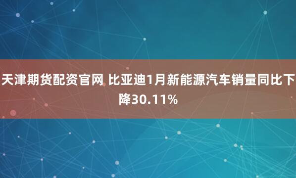 天津期货配资官网 比亚迪1月新能源汽车销量同比下降30.11%